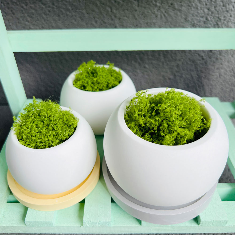 Spherical Flowerpot Silicone M - Potsticker Mold のレビューと価格