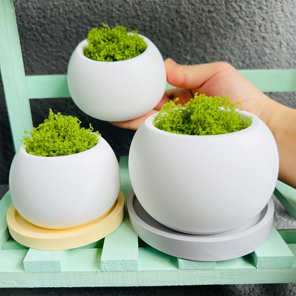 Spherical Flowerpot Silicone M - Potsticker Mold のレビューと価格