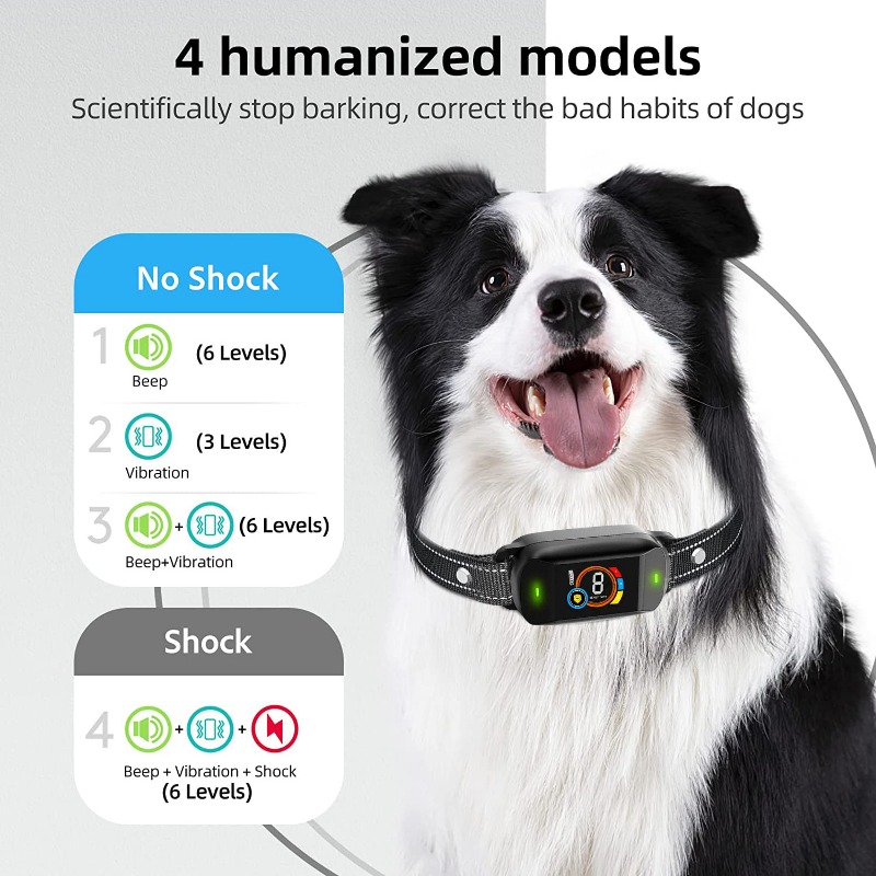Color Screen Waterproof Dog Ba - Hot Dog Press のレビューと価格